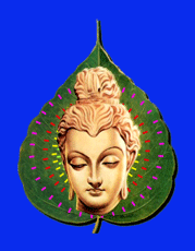 Bộ ảnh hình động Phật giáo 44 Bộ ảnh hình động Phật giáo image-1731944458574