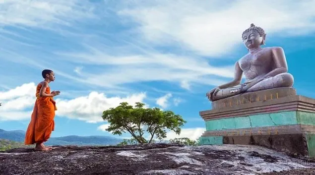 Buông bỏ là tự giải thoát chính mình, là cảnh giới của người thông minh nhất image-1731940768889