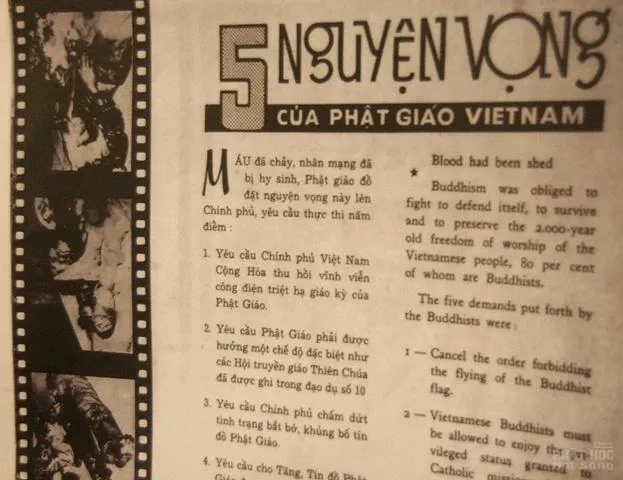 Cả nước mừng 'Giáng sinh' image-1731945998302