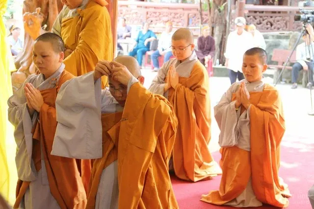 Các phái đoàn viếng tang cố HT Thích Minh Hiển Các phái đoàn viếng tang cố HT Thích Minh Hiển image-1732287122209