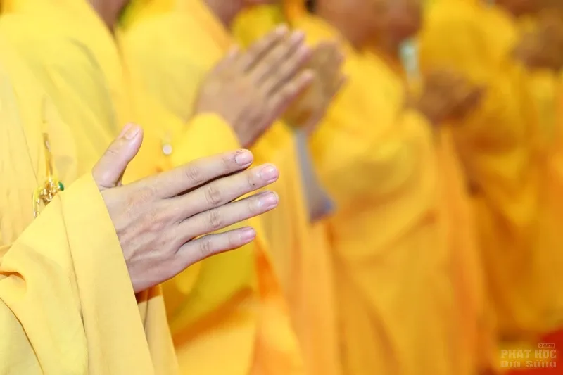 Các phái đoàn viếng tang lễ HT. Thích Quang Đạo ngày 18/7 49 Các phái đoàn viếng tang lễ HT. Thích Quang Đạo ngày 18/7 image-1731940394138