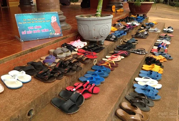 Cảm động hơn 600 tu sinh tu học hè ở chùa Hoa Khai image-1731748659999