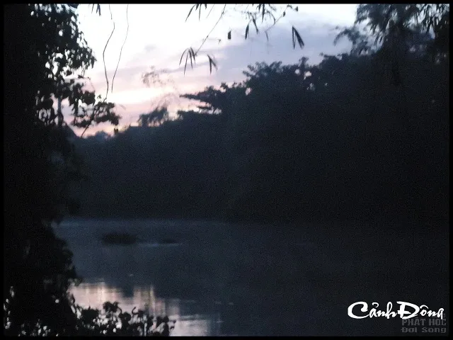 Cảm tàn phú đông image-1731942523418