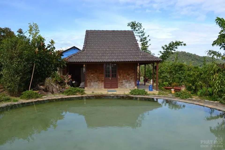 Cảnh thiền Nhật Bản tại Việt Nam image-1732290935236