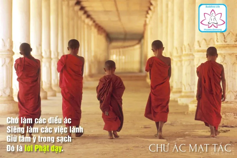 Chư ác mạc tác là gì? image-1731939766568