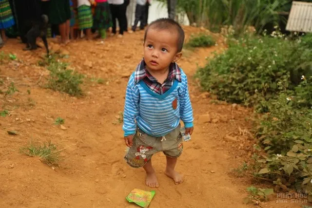 Chùa Hòa Phúc làm lễ Động Thổ xây trường cho học sinh nghèo vùng cao image-1731920929331