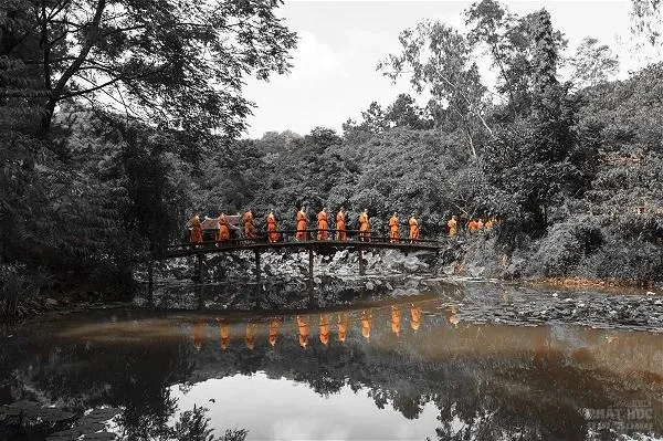 Chùa Huyền Không Sơn Thượng khóa tu xuất gia gieo duyên lần 2016 image-1731748814113