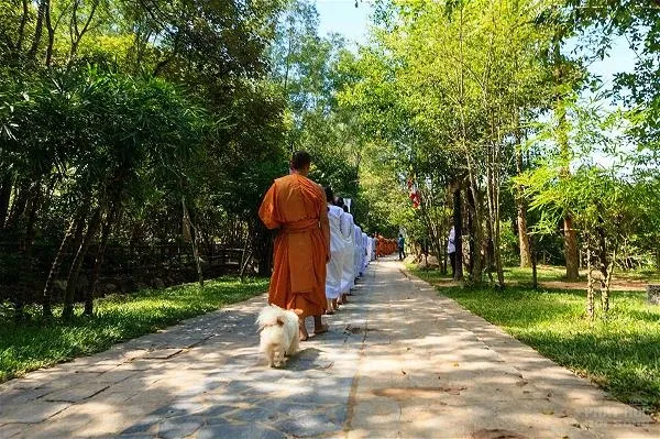Chùa Huyền Không Sơn Thượng khóa tu xuất gia gieo duyên lần 2016 image-1731748815341