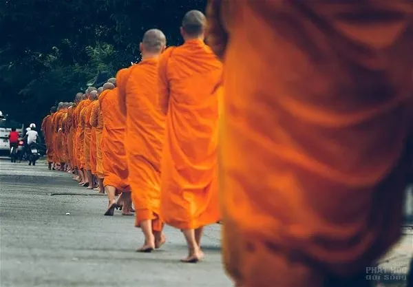 Chùa Huyền Không Sơn Thượng khóa tu xuất gia gieo duyên lần 2016 image-1731748821664