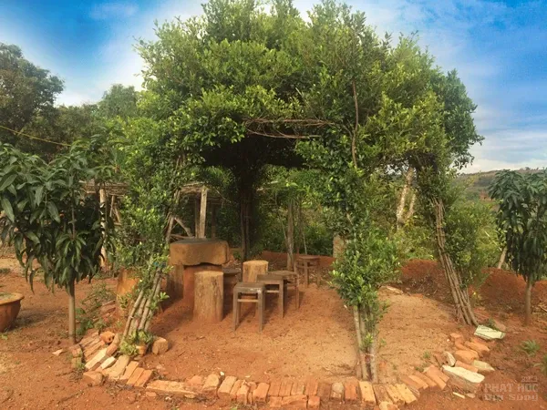 Chùa Thiện Phước bên hồ Đại La image-1731936702912