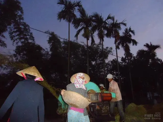 Chùa Vạn An làng Văn Quỹ đón mừng Phật đản image-1731936544890