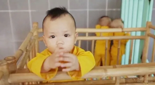 Chùa Vạn Đức Bến Tre nơi hồi sinh những mảnh đời côi cút! 2 Chùa Vạn Đức Bến Tre nơi hồi sinh những mảnh đời côi cút! image-1731726359003