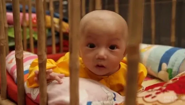 Chùa Vạn Đức Bến Tre nơi hồi sinh những mảnh đời côi cút! 4 Chùa Vạn Đức Bến Tre nơi hồi sinh những mảnh đời côi cút! image-1731726360028