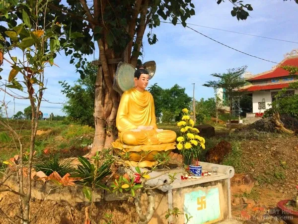 Chùa Vạn Quang dẫn vào huyện Cát Tiên Chùa Vạn Quang dẫn vào huyện Cát Tiên image-1731932326035