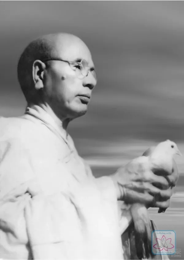 Chùm ảnh Đại lão HT.Thích Đôn Hậu lúc sanh tiền image-1731945568542