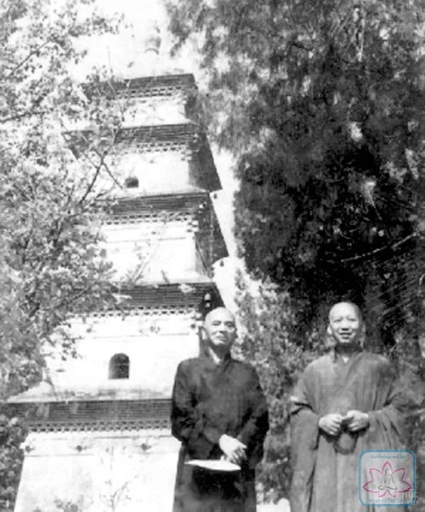 Chùm ảnh Đại lão HT.Thích Đôn Hậu lúc sanh tiền image-1731945576713