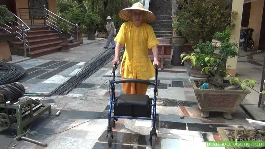 Chùm ảnh Đại lão HT Thích Tắc An lúc sinh tiền image-1732292242693