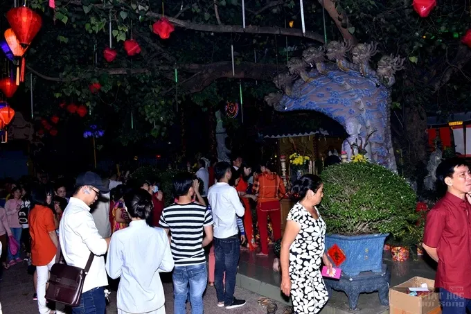 Chùm ảnh đêm giao thừa và ngày đầu xuân 19 Chùm ảnh đêm giao thừa và ngày đầu xuân image-1732290089536