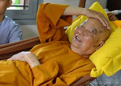 Chùm ảnh đẹp: Thiền sư Thích Thanh Từ image-1731747856536