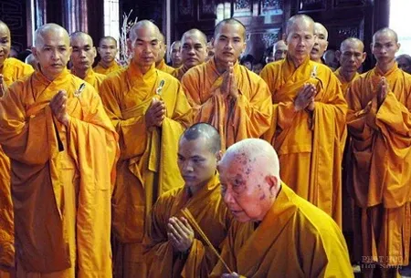 Chùm ảnh đẹp: Thiền sư Thích Thanh Từ image-1731747859550