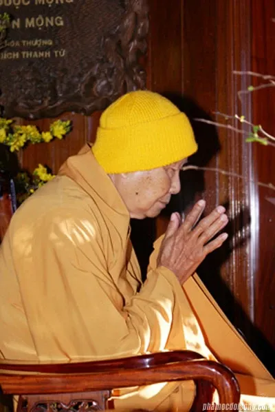 Chùm ảnh đẹp: Thiền sư Thích Thanh Từ image-1731747860588