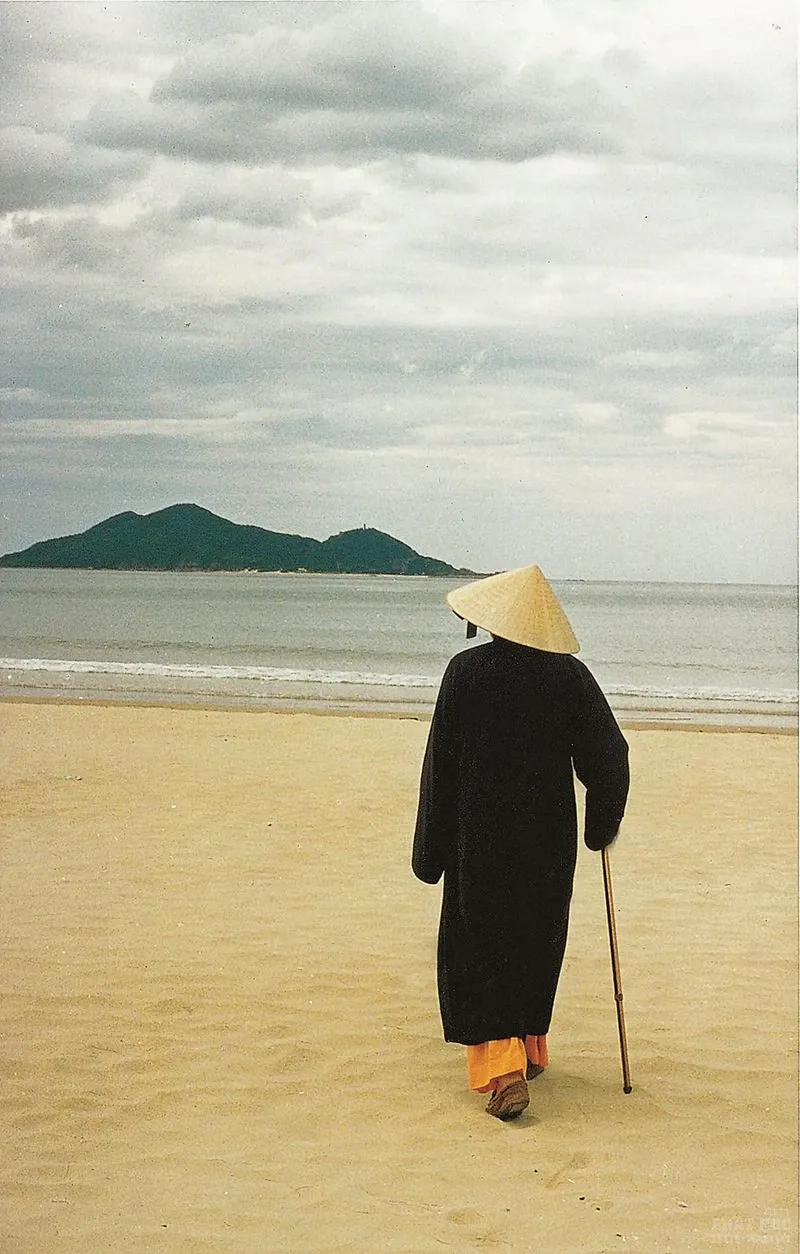 Chùm ảnh đẹp: Thiền sư Thích Thanh Từ image-1731747863709