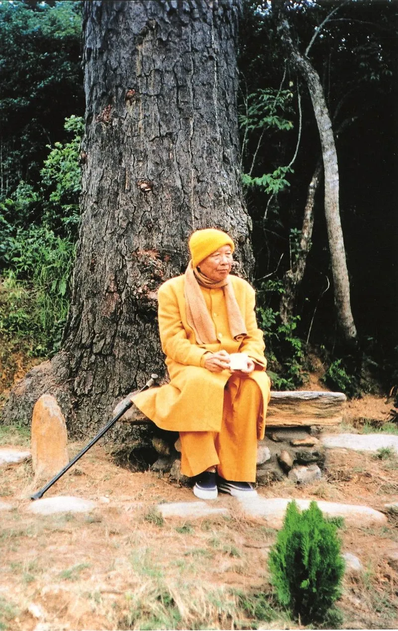 Chùm ảnh đẹp: Thiền sư Thích Thanh Từ image-1731747868565