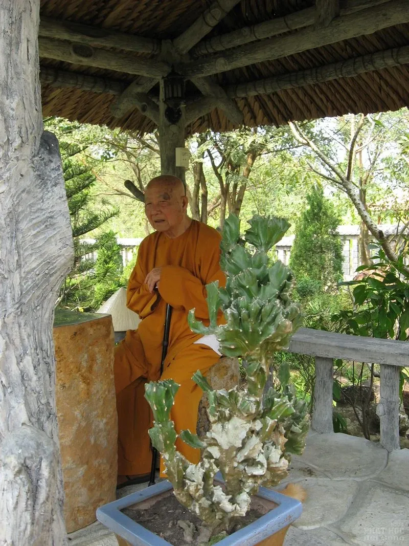 Chùm ảnh đẹp: Thiền sư Thích Thanh Từ image-1731747872904