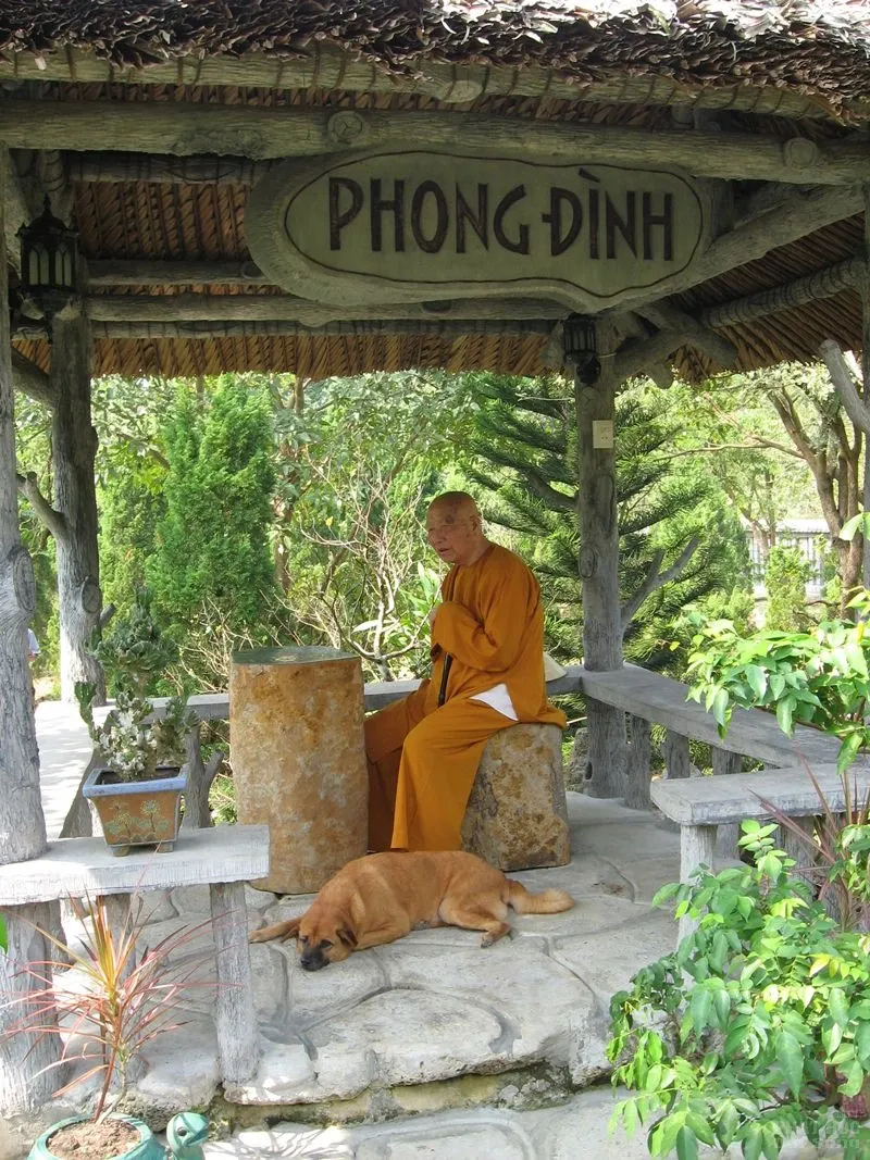 Chùm ảnh đẹp: Thiền sư Thích Thanh Từ image-1731747874204