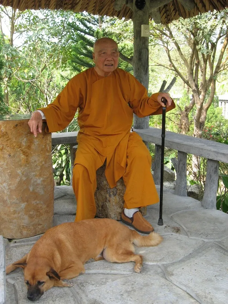 Chùm ảnh đẹp: Thiền sư Thích Thanh Từ image-1731747877691