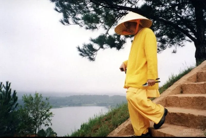 Chùm ảnh đẹp: Thiền sư Thích Thanh Từ image-1731747878950