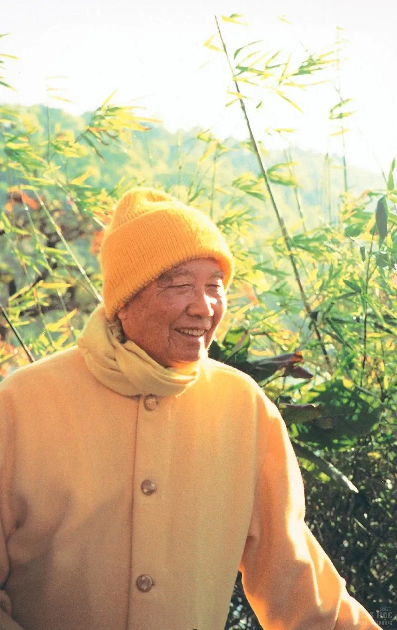 Chùm ảnh đẹp: Thiền sư Thích Thanh Từ image-1731747887220