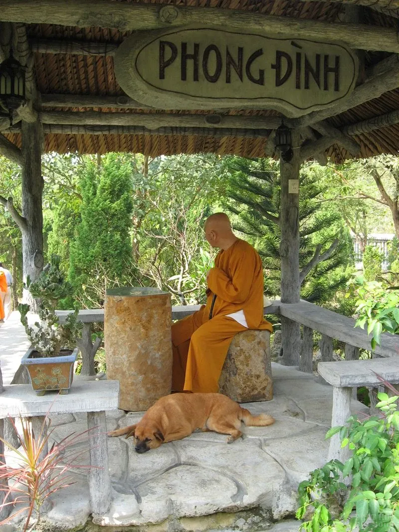 Chùm ảnh đẹp: Thiền sư Thích Thanh Từ image-1731747889645