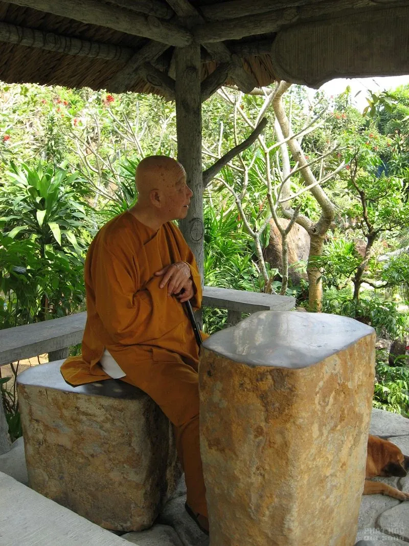 Chùm ảnh đẹp: Thiền sư Thích Thanh Từ image-1731747890959