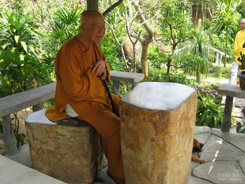 Chùm ảnh đẹp: Thiền sư Thích Thanh Từ image-1731747892304