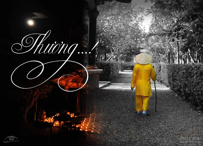 Chùm ảnh HT Thích Thông Quả lúc sanh tiền image-1731938923455