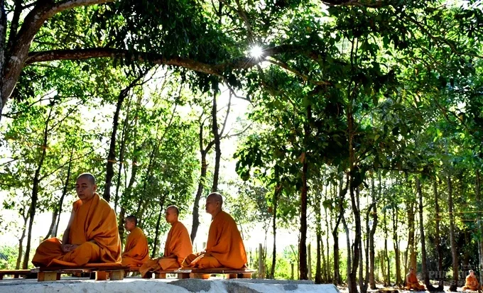 Chùm ảnh khóa tu ngày thứ 3 của Tăng đoàn hệ phái Khất sĩ 3 Chùm ảnh khóa tu ngày thứ 3 của Tăng đoàn hệ phái Khất sĩ image-1732289691651