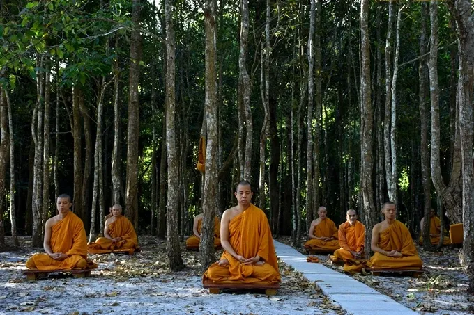 Chùm ảnh khóa tu ngày thứ 3 của Tăng đoàn hệ phái Khất sĩ 4 Chùm ảnh khóa tu ngày thứ 3 của Tăng đoàn hệ phái Khất sĩ image-1732289692628