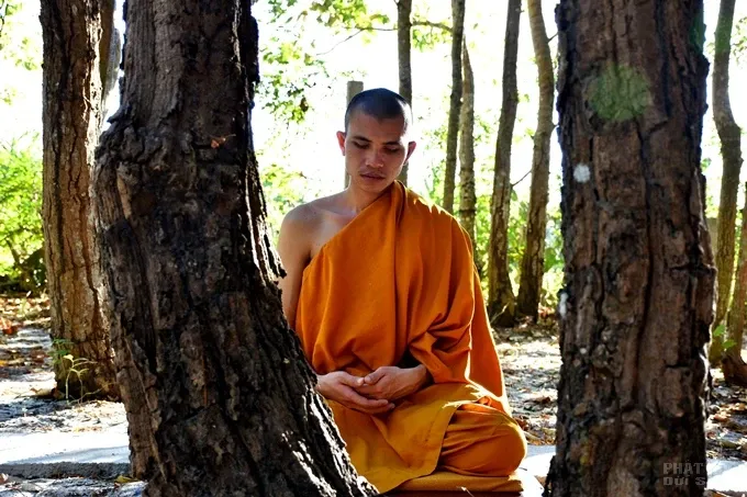 Chùm ảnh khóa tu ngày thứ 3 của Tăng đoàn hệ phái Khất sĩ 15 Chùm ảnh khóa tu ngày thứ 3 của Tăng đoàn hệ phái Khất sĩ image-1732289702392