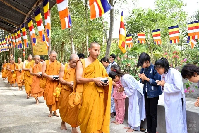 Chùm ảnh khóa tu truyền thống hệ phái Khất sĩ ngày thứ 4 image-1731942912085