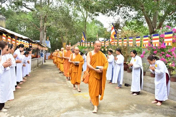 Chùm ảnh khóa tu truyền thống hệ phái Khất sĩ ngày thứ 5 image-1731943540443