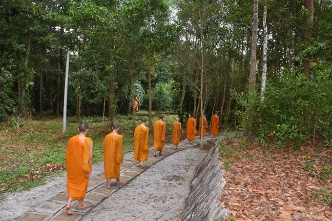 Chùm ảnh khóa tu truyền thống hệ phái Khất sĩ ngày thứ 5 image-1731943552568