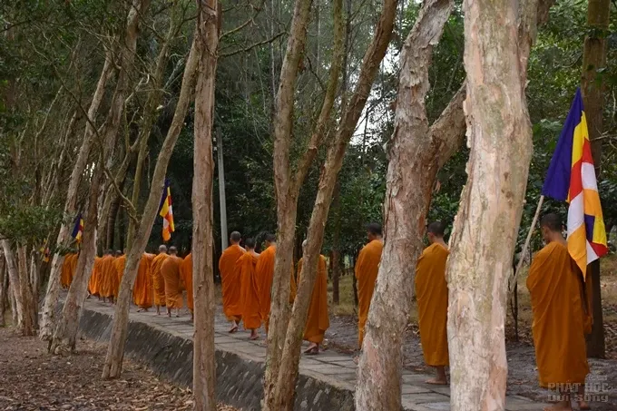 Chùm ảnh khóa tu truyền thống hệ phái Khất sĩ ngày thứ 5 image-1731943554294