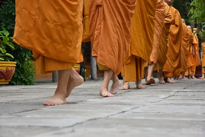 Chùm ảnh khóa tu truyền thống hệ phái Khất sĩ ngày thứ 5 image-1731943557252