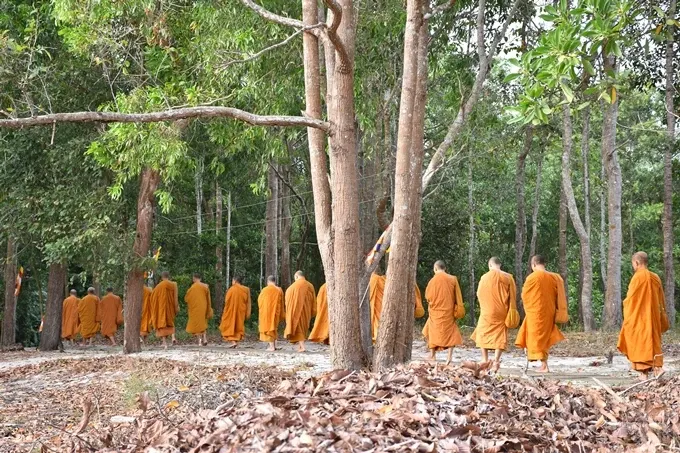 Chùm ảnh khóa tu truyền thống hệ phái Khất sĩ ngày thứ 7 26 Chùm ảnh khóa tu truyền thống hệ phái Khất sĩ ngày thứ 7 image-1731943140755