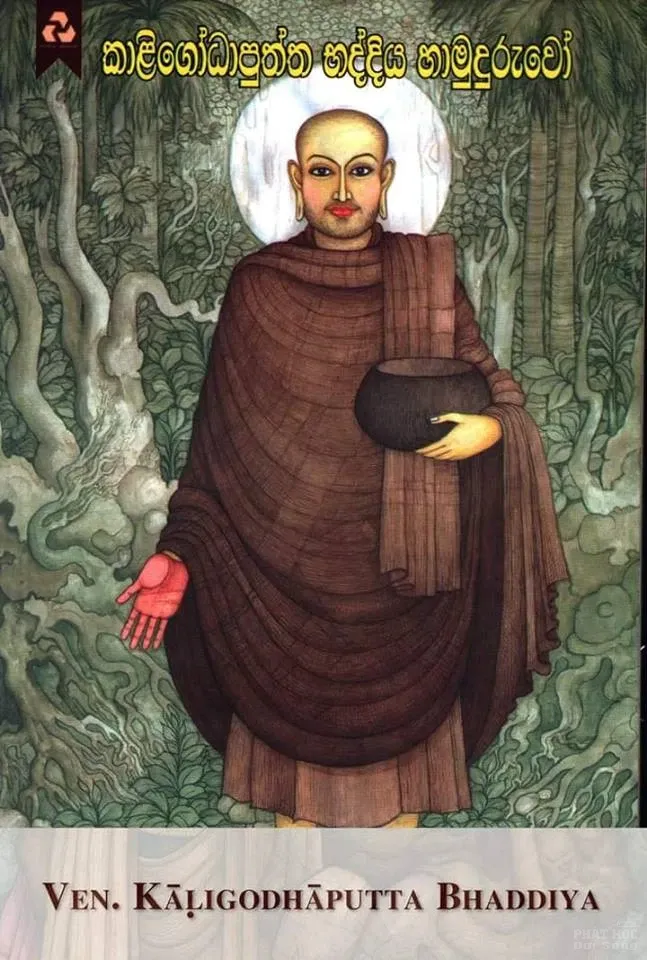 Chùm ảnh những vị đệ tử của Đức Phật image-1731921970548