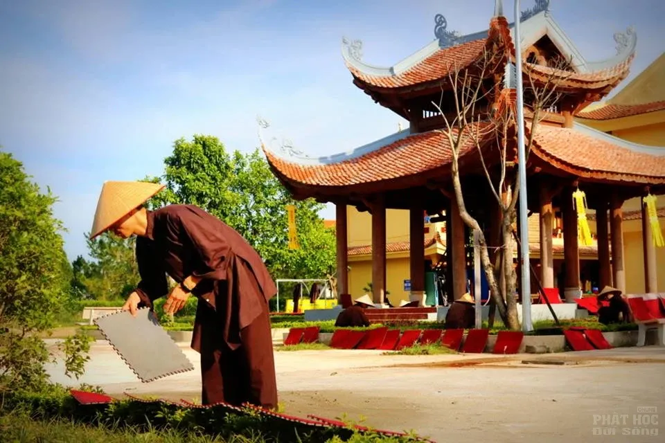Chùm ảnh Tăng Ni sinh trường TCPH Hà Nội lao động sau cơn bão image-1732287163202