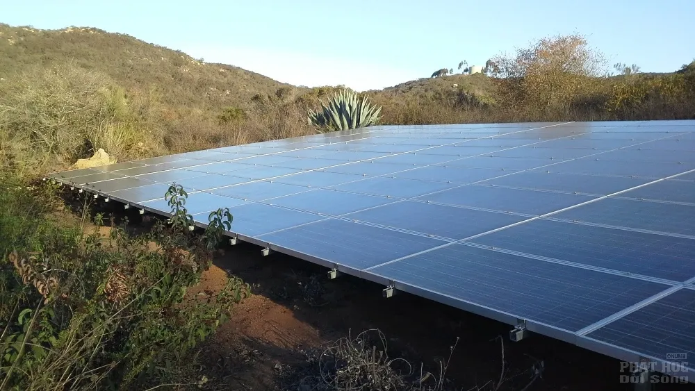 Con thuyền tăng thân image-1731726908255