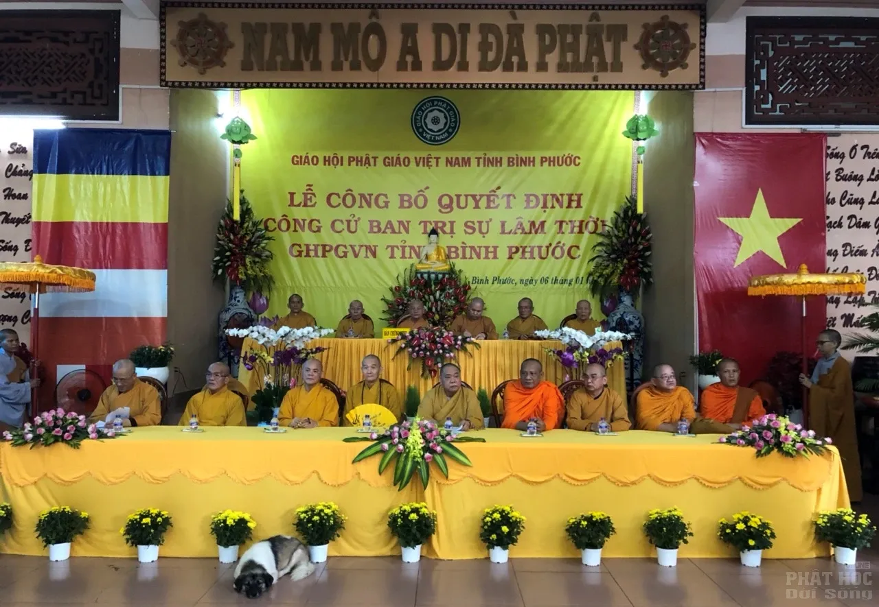 Công bố quyết định công cử Ban Trị sự lâm thời tỉnh Bình Phước 13 Công bố quyết định công cử Ban Trị sự lâm thời tỉnh Bình Phước image-1731942505671