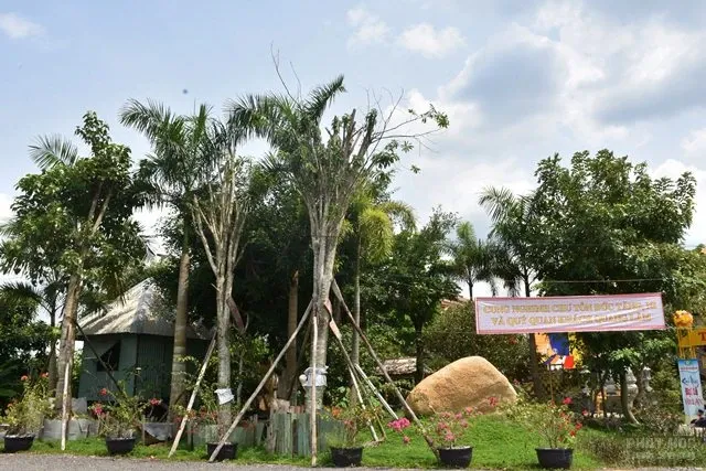 Công tác chuẩn bị cho lễ tự tứ Giáo đoàn VI 16 Công tác chuẩn bị cho lễ tự tứ Giáo đoàn VI image-1731938901259